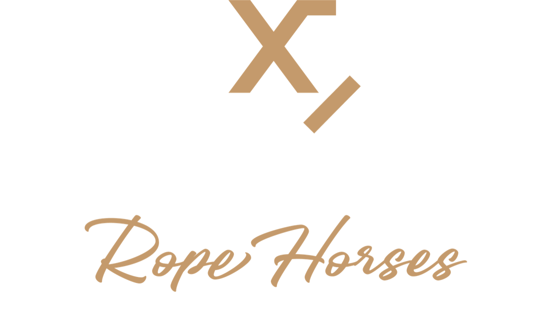 Ryan Motes — Rope Horses