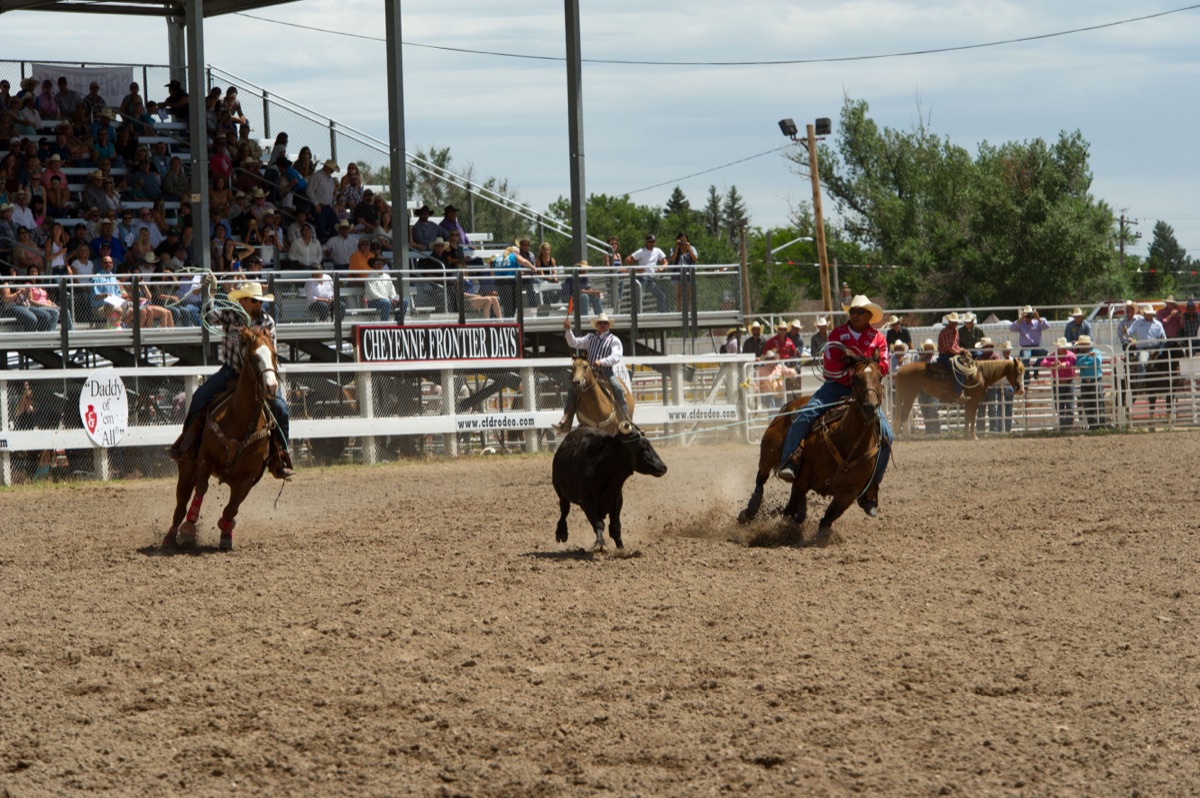Ryan Motes competing in the team roping at Cheyenne Frontier Days